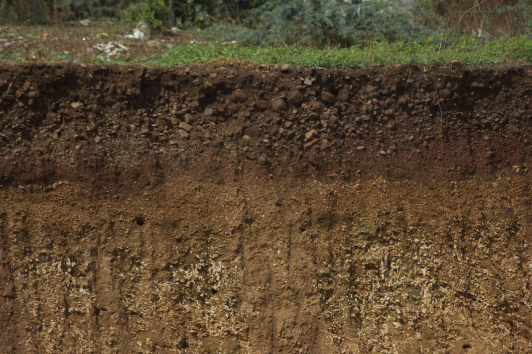 Qu’estce que la terre végétale ? à portée de mains
